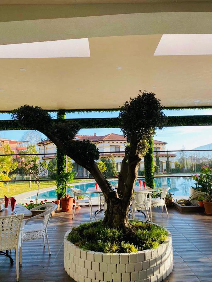 Hotel Paradise Ognjanovo Kültér fotó